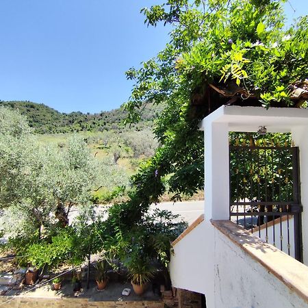 Casa Campodorato Nocera Terinese Esterno foto